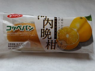 第一パン コッペパン 河内晩柑&ホイップ.jpg